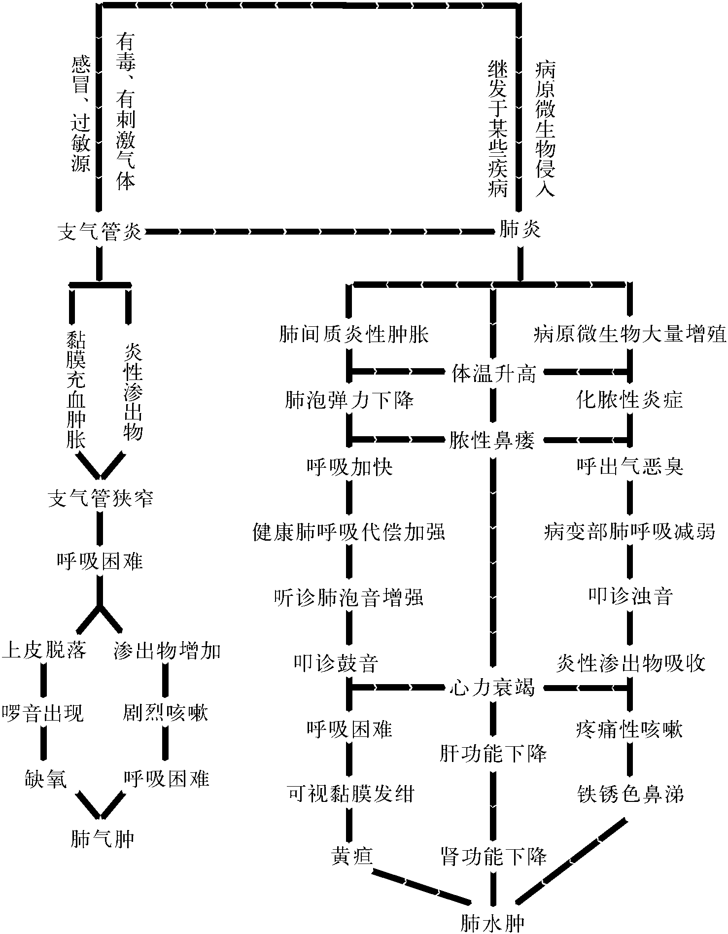 47.呼吸系統(tǒng)病演